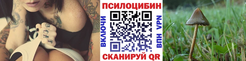 Псилоцибиновые грибы Psilocybe  наркошоп  Усть-Катав 